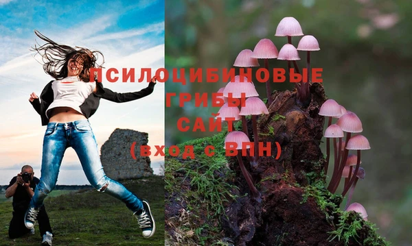 кристаллы Богородицк