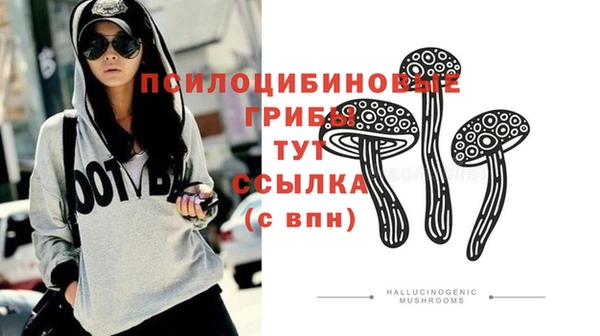 шишки Богданович